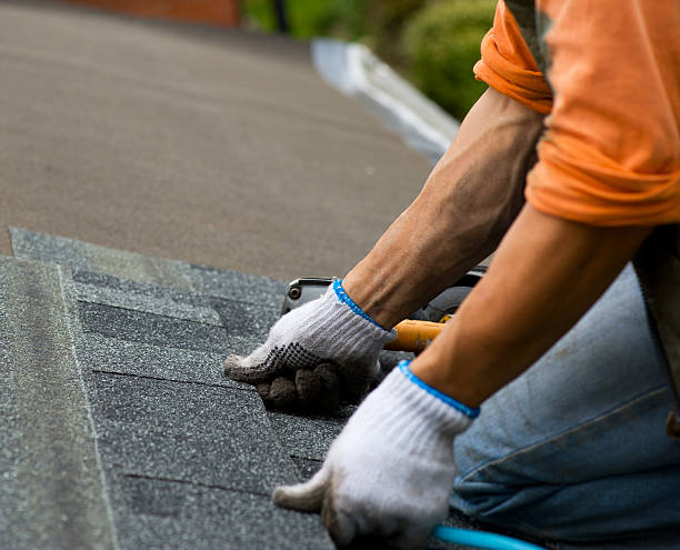 Best Roof Gutter Cleaning  in El Cenizo, TX