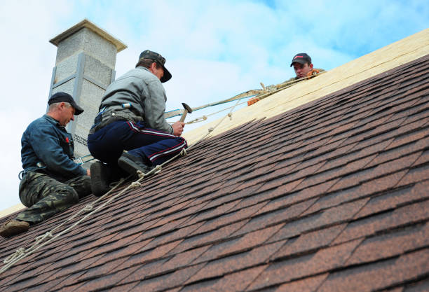 Best Shingle Roofing Installation  in El Cenizo, TX